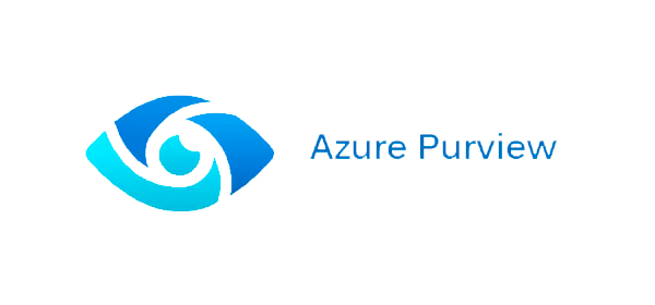 azure purview
